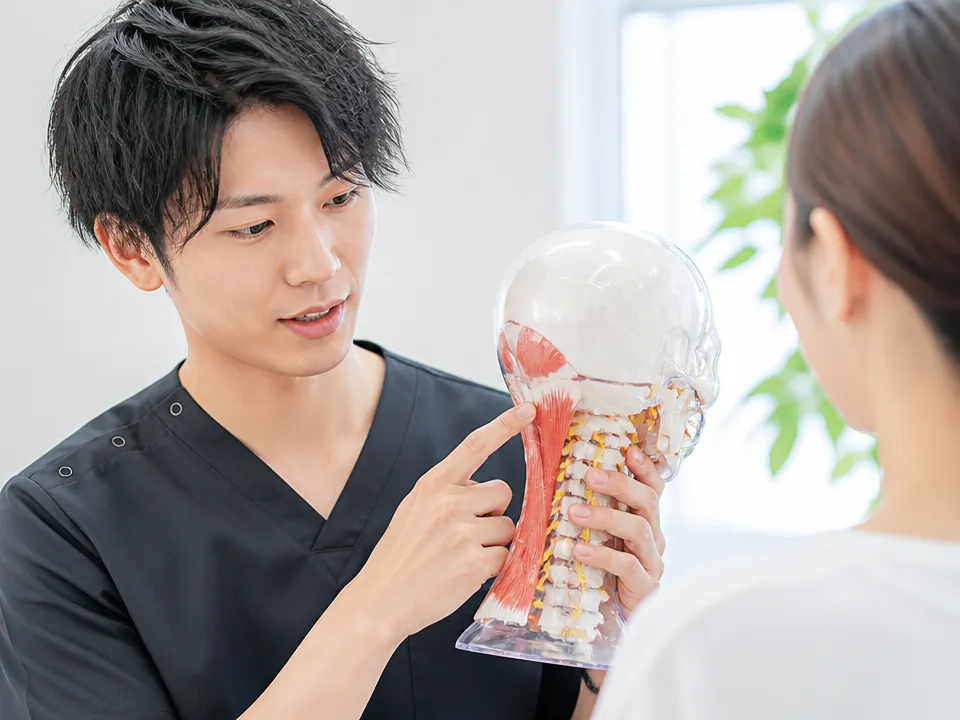 むちうちで負担がかかった首の筋肉や靭帯のイメージ