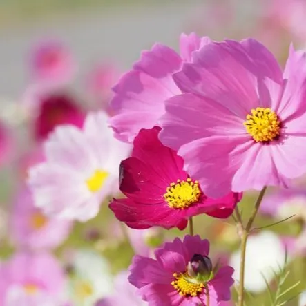 test01