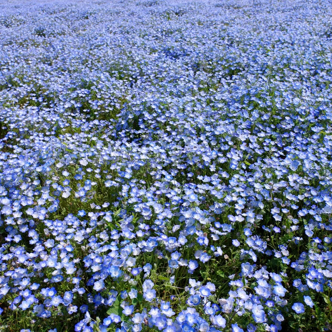 test003