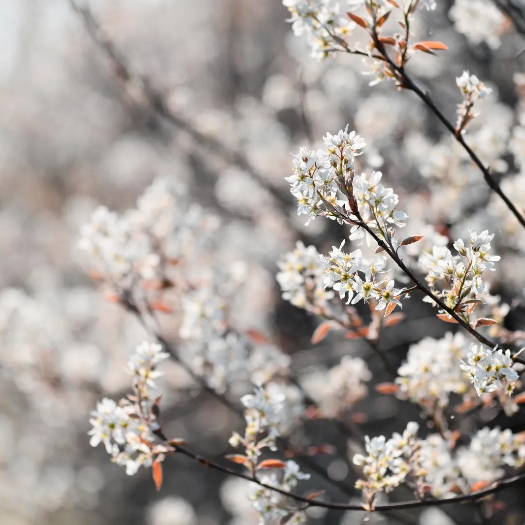 test004