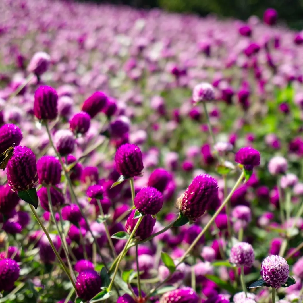 test008