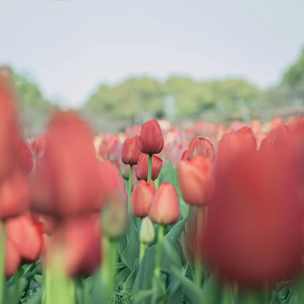 test009
